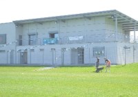 Bray Emmets